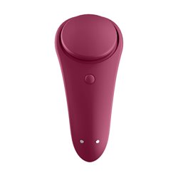 Satisfyer Sexy Secret Panty Vibe App Control