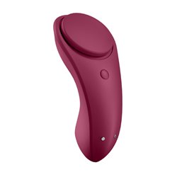 Satisfyer Sexy Secret Panty Vibe App Control