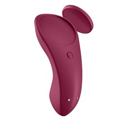 Satisfyer Sexy Secret Panty Vibe App Control