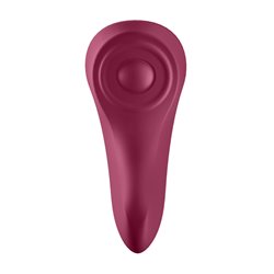 Satisfyer Sexy Secret Panty Vibe App Control