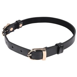 S&M Double Buckle Day Collar