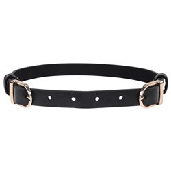 S&M Double Buckle Day Collar